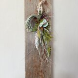 迎春のしつらえ　しめ縄飾り｜根付きレモングラス