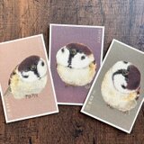 ポストカード『言祝ぐすずめ』３種類セット