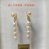 日本産あこや本真珠（宇和島産）のネジバネ式イヤリング