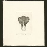 銅版画「チンゲン菜」