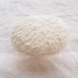 white garden ＊ice flower＊