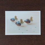 ポストカード(カモ)