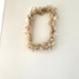 冬のふわふわな額縁  ~ちがや