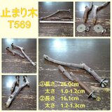 止まり木セット（枝：TOY-08-015）T569