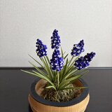 粘土の花　ムスカリ