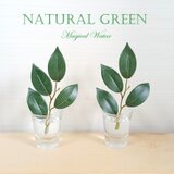 魔法のお水 「マジカルウォーター　清らかな　榊　」光触媒加工済