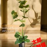 光触媒　人工観葉植物　ウォールグリーン　フェイクグリーン　シーグレープモンステラ