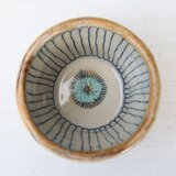 ヒメジョンの小鉢