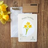 1月スイセン＊花言葉のバースデーカード