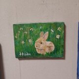 野原のうさぎ