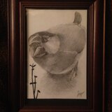 [リクエスト]ｓ様　文鳥　- sakura -