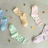 こはくとう（くだもの）