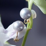 大粒・美しい照り★オーロラグレイ貝パール10ｍｍのイヤリング・サージカルステンレススタッドピアス　～銀世界