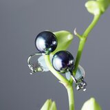 大粒・美しい照り★ピーコック貝パール10ｍｍのイヤリング・サージカルステンレススタッドピアス　～黒揚羽