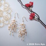 *東風吹かば*寒空に咲くしだれ白梅のピアス