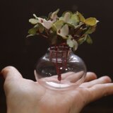 №116　ガラス瓶　小型　花器　花瓶　一輪挿し ■送料無料■