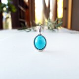 【一点物】スリーピングビューティーターコイズのネックレス（ストレートタイプ）