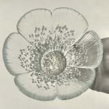 Lasisepat クロッカス キャンドルホルダー Pertti Kallioimen