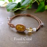 フォッシルコーラル（インドネシア産）化石珊瑚・天然シトリン マクラメ編みブレスレット 誕生日プレゼントギフト 3818
