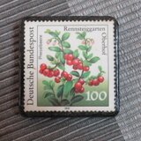 ドイツ　高山植物切手ブローチ10710
