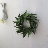 レモンユーカリのリース