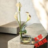 光触媒　人工観葉植物　ウォールグリーン　フェイクグリーン　マジカルウォーター　カラー