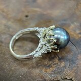 K14/silver南洋パールリング(送料無料)