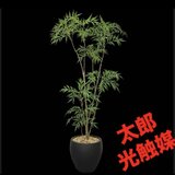 光触媒　人工観葉植物　ウォールグリーン　フェイクグリーン　マホニア
