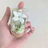プリザーブドフラワー／白色ジャスミンと小花のミニガラスボトルギフト