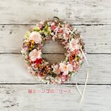 春の風薫る！桜とリンゴの花リース