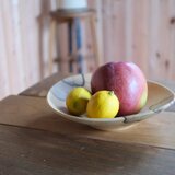 カシのボウル〈21.5〉ガラスコーティング【v1894】