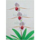 アートポスター　パフィオペディラム ロスチャイルディアナム