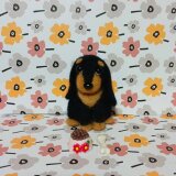 羊毛フェルト ダックスフンド ぬいぐるみ