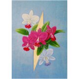 アートポスター　カトレア ワルケリアーナ