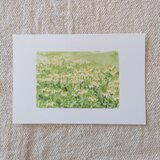 postcard　/　カモミールの畑（2枚組）