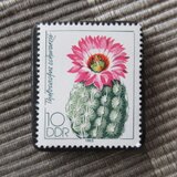 ドイツ　サボテンの花切手ブローチ10793