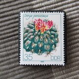 ドイツ　サボテンの花切手ブローチ10796