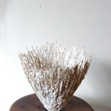 ペーパーマシェボウル・ススキの穂と再生パルプ　縦ライン