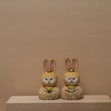 うさぎ雛ちゃん