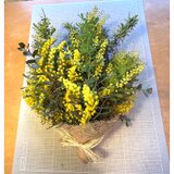 ミモザ、ユーカリ、ローズマリー、月桂樹のかぐわしいスワッグ  クロネコ８０サイズ