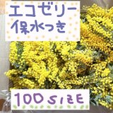 フレッシュミモザ素材箱詰め　エコゼリー保水つき　クロネコ100サイズ