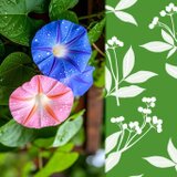 ◆華燭の宿り木=「夫婦の彩」／至福の灯かり・39-26／LED昼白色･桧枠造・フイルム加工・軽量／和風ランプ