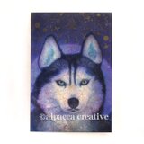 シベリアンハスキー【ポストカード】（2枚セット）