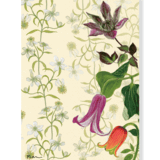 グリーティングカード　クレマチス アソート