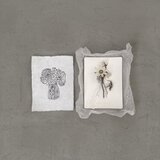 『フランネルと白花』