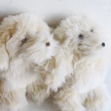 手乗りのイエティ クリーム