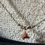 ＊珊瑚とAsiaのネックレス。＠珊瑚のカケラ＋カレンシルバービーズ＋カリマンタン島の出土ビーズ＋貝殻の円盤ビーズ