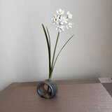 粘土の花シロバナ水仙