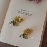 Le Petit Mimosa ル・プティ・ミモザ　ブローチ