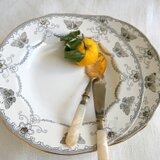 スウェーデン【Rorstrand/ロールストランド】Fjaril 蝶の絵柄 ディナー・スープ皿 2枚セット